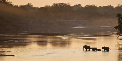 Discover Zambia