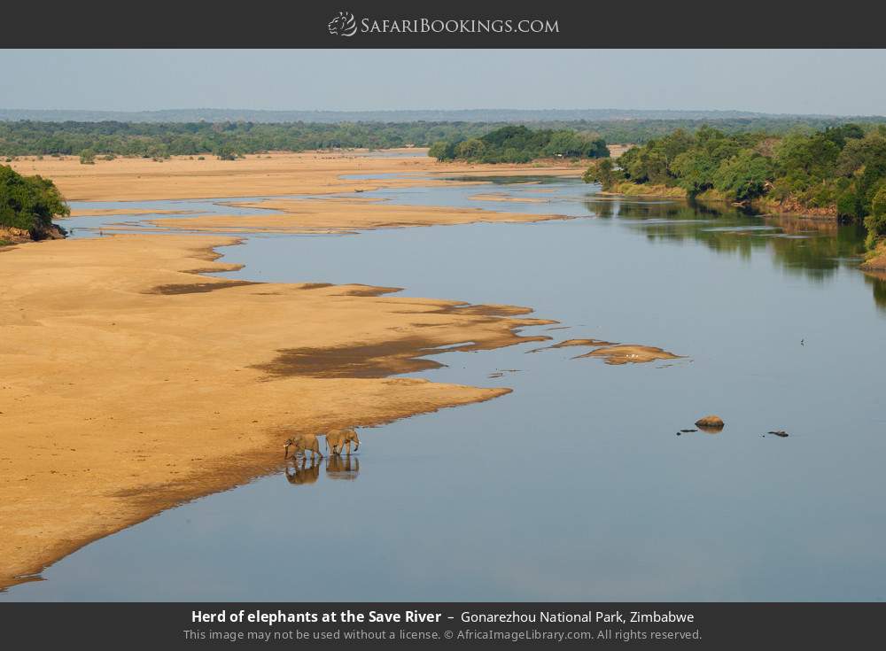 Elephants at the Save River in Gonarezhou National Park, Zimbabwe