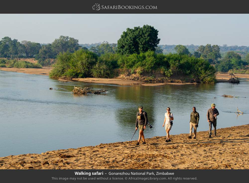 Walking safari in Gonarezhou National Park, Zimbabwe