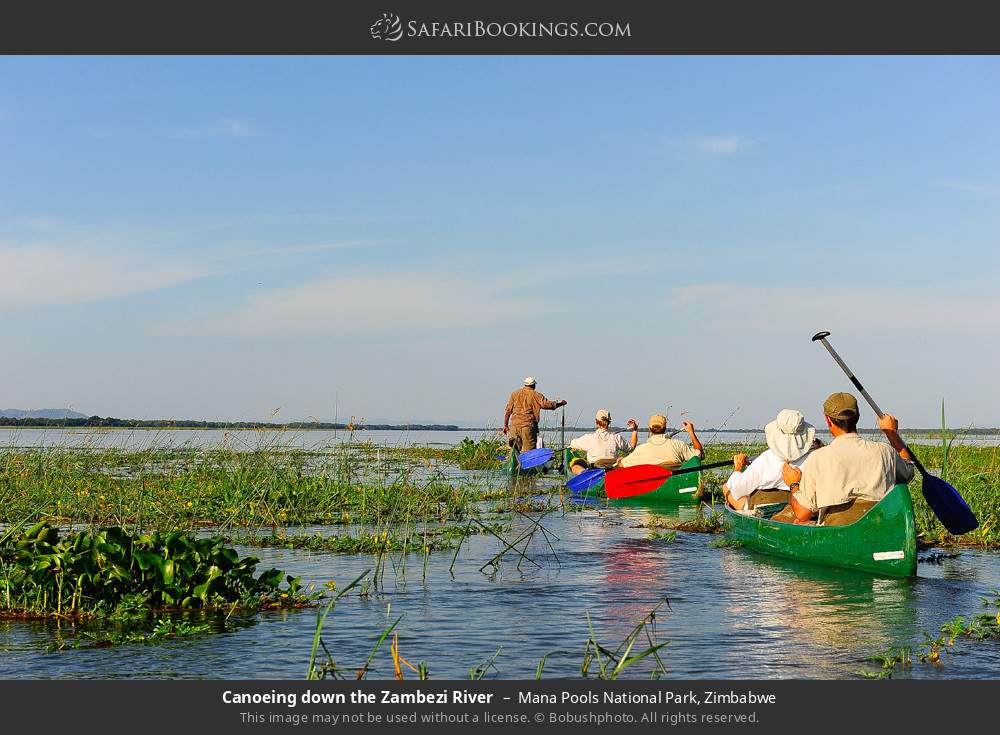 Canoeing down the Zambezi River in Mana Pools National Park, Zimbabwe