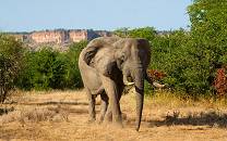 Gonarezhou National Park