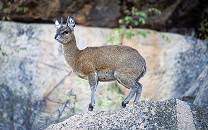 Matobo National Park