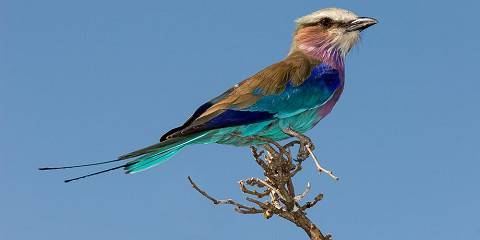 3-Day Victoria Falls and Hwange National Park