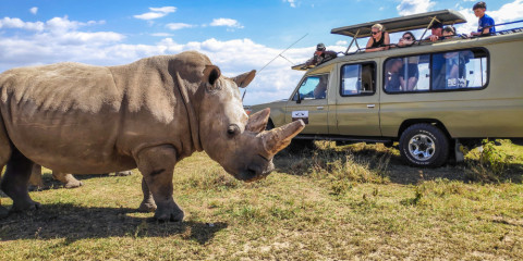 8-Day Samburu to Masai Mara Semi-Luxury Safari