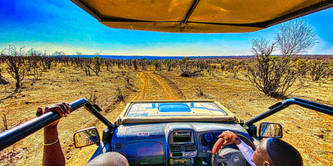 ½-Day Sunrise Safari in Zambezi National Park 3 Hours