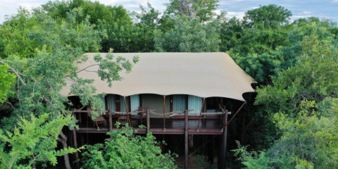 3-Day Kapama Buffalo Fly-in Safari from Johannesburg