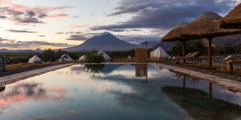 9-Day Tanzanian Elephants to Flamingos Comfort