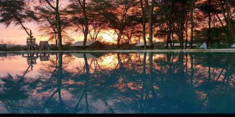 14-Day Safari Dream Glamping Voyage