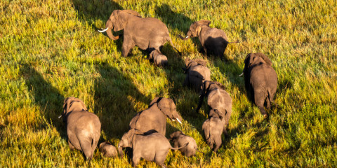 6-Day Tarangire, Manyara, Serengeti & Ngorongoro