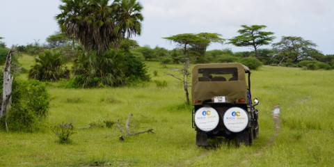 2-Day Nyerere Wilderness Escape Comfort Safari