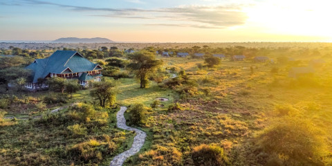 7-Day Beyond the Savannah Comfort