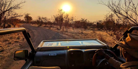½-Day Safari Game Drive in Zambezi NP, 3 Hours