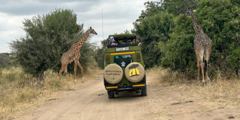 1-Day Tarangire National Park Game Drive