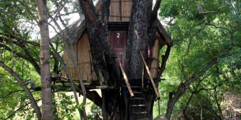 4-Day Kruger Park Treehouse Safari