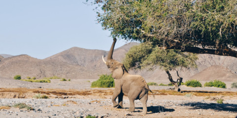 15-Day Complete Namibia Self-Drive - Sossusvlei to Etosha
