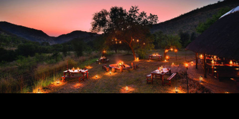 2-Day Bakubung Bush Lodge Safari in Pilanesberg