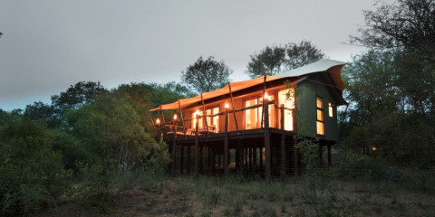 3-Day Kapama Buffalo Camp Safari