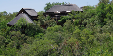 3-Day Madikwe Buffalo Ridge Safari Lodge