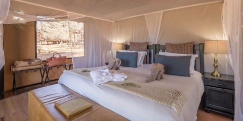3-Day Chisomo Camp Safari