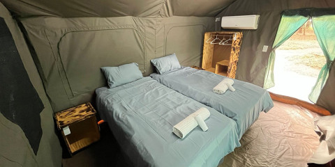 4-Day Affordable Dumela Kruger Safari