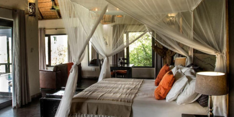 4-Day Tremisana Lodge Safari Fly-in from Cape Town