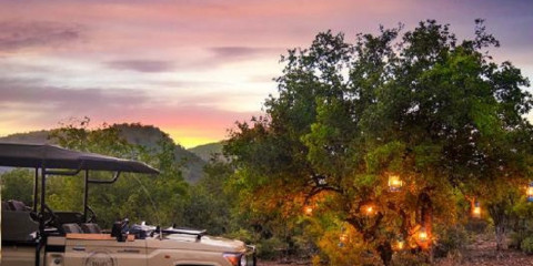 3-Day Pilanesberg - Lush Private Lodge