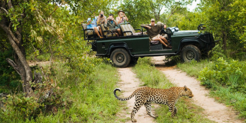 3-Day Radisson Safari Hotel & Ndzhaka Combo Safari