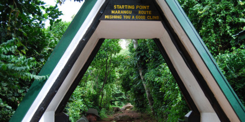 1-Day Kilimanjaro Hike Trip to Mandara Hut
