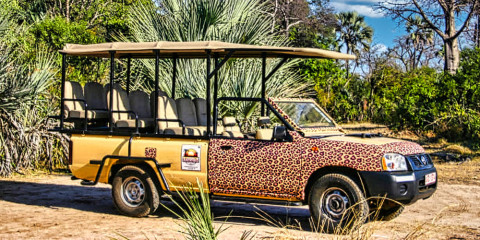 ½-Day Victoria Falls Town Safari Drive in 4x4 Jeep