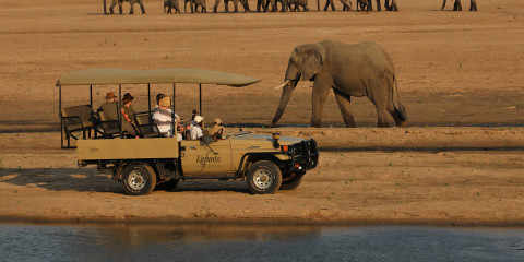9-Day Zambia South Luangwa Safari