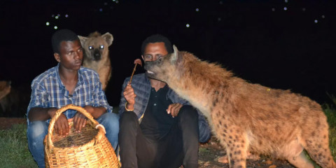 3-Day Harar Ethiopia Tour