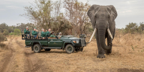 3-Day Karongwe River Lodge Safari
