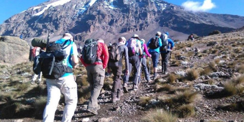 6-Day Rongai Route | Kilimanjaro Climbing