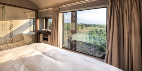 5-Day Kruger Train on the Bridge Lodge Safari