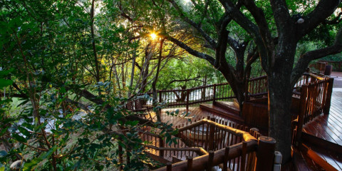 3-Day Kruger Island Safari - Starting in Cape Town
