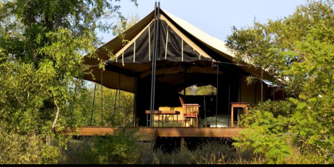 4-Day Mantobeni Luxury Safari - Fly in from Cape Town