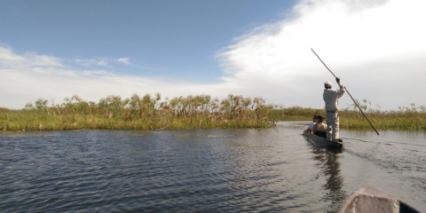 7-Day Okavango Fly-in Safari Special - Free Night