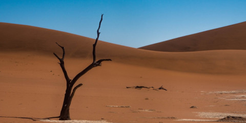 3-Day Sossusvlei One-Way Express