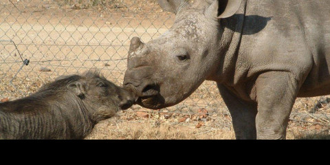 2-Day Panorama Route, Boat Trip, Close Animal Encounters