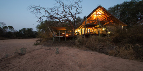 3-Day Rhino Post Fly-in Safari from Cape Town