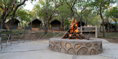 6-Day Glamping Safari in Kruger National Park