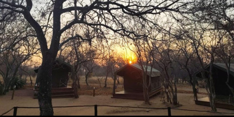 2-Day Sekekama Tented Camp Safari