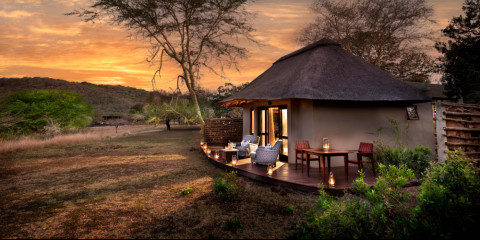 4-Day Luxury Phinda Zuka Lodge Safari