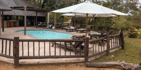 4-Day Sabi Sands Umkumbe Bush Lodge Safari
