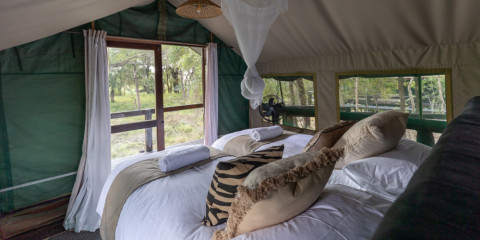4-Day Manyeleti Ndzhaka Tented Camp Experience