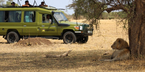 7-Day Ultimate Tanzania, a Promising Experience