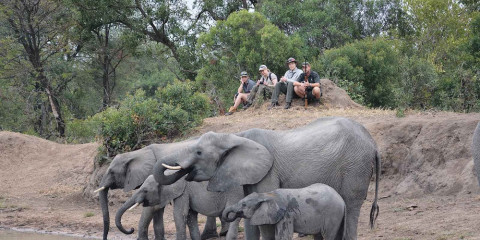 3-Day Kruger - Morning Bush Walk at Africa on Foot