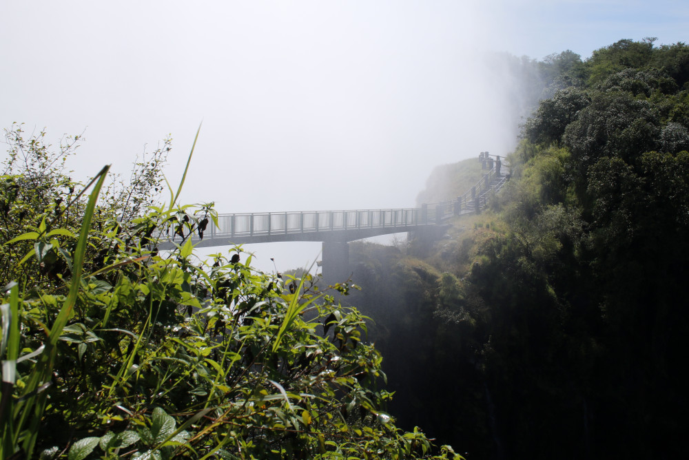 Open Photos