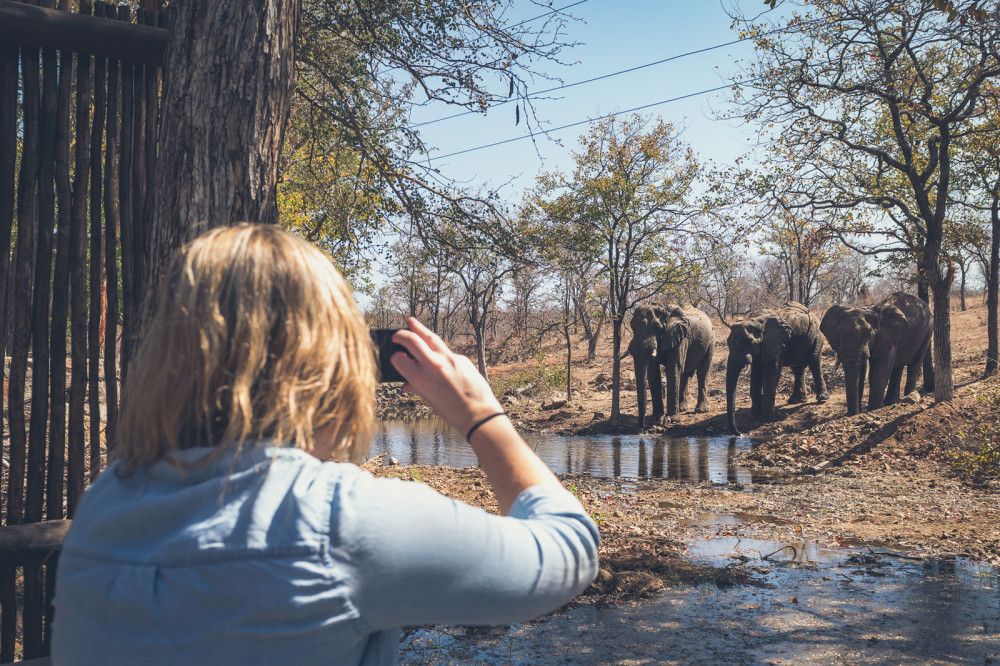 Kruger - Chacma Bush Camp