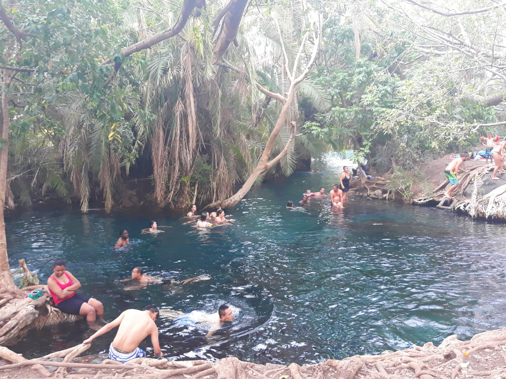 Kikuletwa - Hotspring (8Hrs) Tour